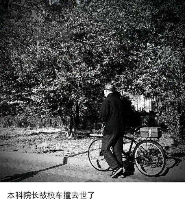 年仅53岁，一高校院长校内遇车祸去世