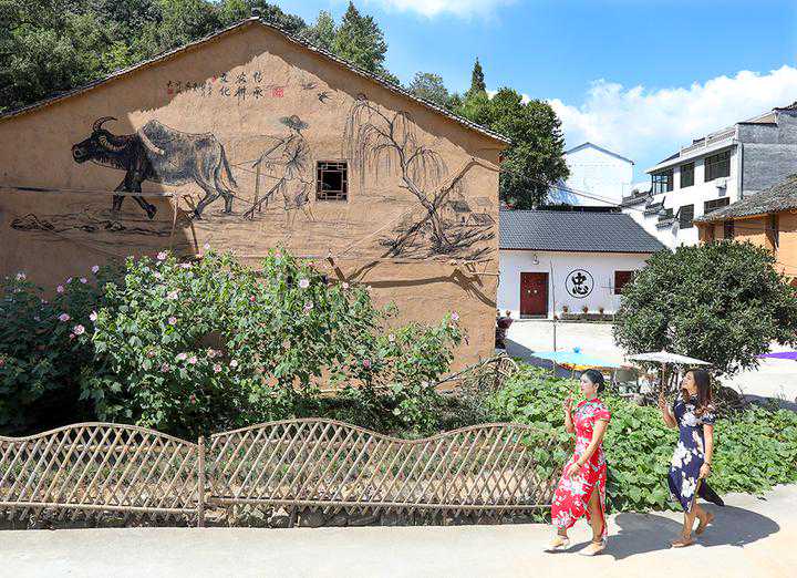 爱摄家丨景色美如画，最忆是乡村