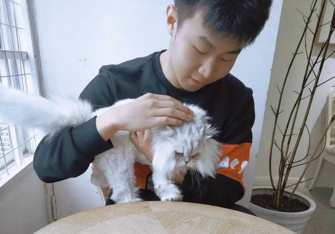 甜度超标，电子科大学霸情侣拍了拍你~