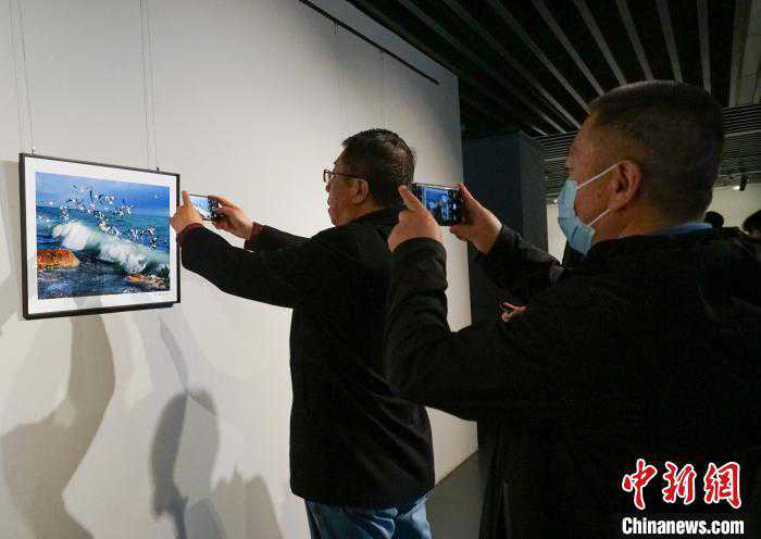 青海湖生态摄影展：展现人与自然和谐共生之美