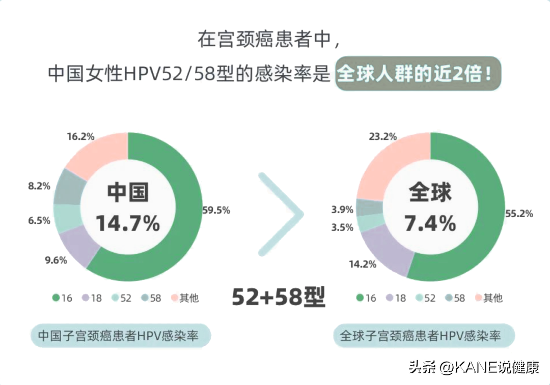 哪些 HPV，中国女性更容易感染？有无性生活都该知道！