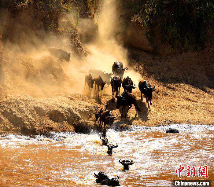 旅行摄影家夫妇：透过镜头“寻美”神秘与遐想的非洲大陆